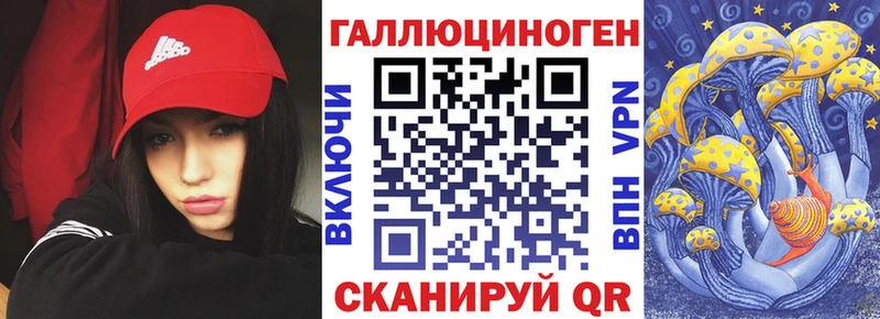 блэк спрут онион Королёв Галлюциногенные грибы Cubensis